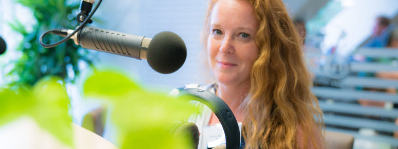 Online Stimmbildung
